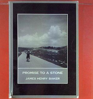 Promise to a Stone by James Baker