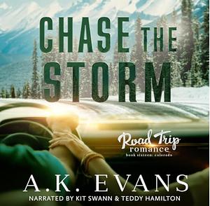 Chase the Storm by AK Evans