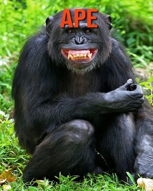 Ape: Amazing Facts about Ape by Devin Haines