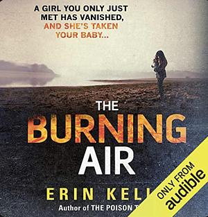 The Burning Air by Erin Kelly