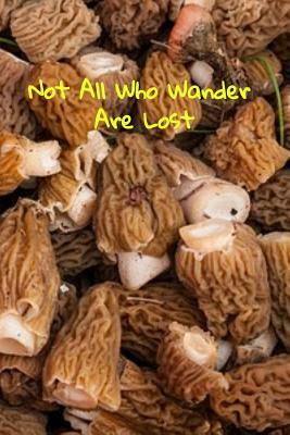 Not All Who Wander Are Lost: A fun place to write in. 6 x 9 110 pages by T. &. K. Publishing