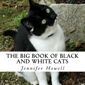 The Big Book of Black and White Cats: A text-free book for Seniors and Alzheimer's patients by Jennifer Howell