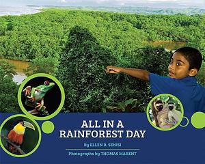 All in a Rainforest Day by Ellen B. Senisi