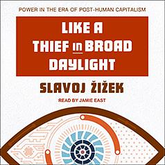 Like A Thief In Broad Daylight: Power in the Era of Post-Humanity by Slavoj Žižek