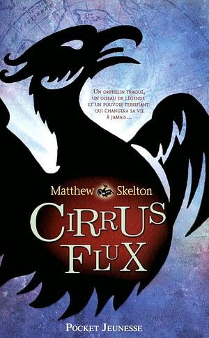 Cirrus Flux by Matthew Skelton