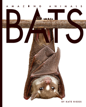 Bats by Valerie Bodden