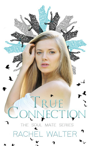 True Connection by Rachel Walter