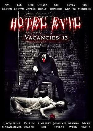 Hotel Evil: Vacancies 13 by Kimberly Rei, Mark Young, Chisto Healy, Kayla Krantz, Callum Pearce, S.E. Howard, Dee Caples, N.M. Brown, Tim Mendees, T.M. Brown, Jacqueline Moran Meyer