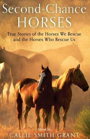 Second-Chance Horses: True Stories of the Horses We Rescue and the Horses Who Rescue Us by Callie Smith Grant