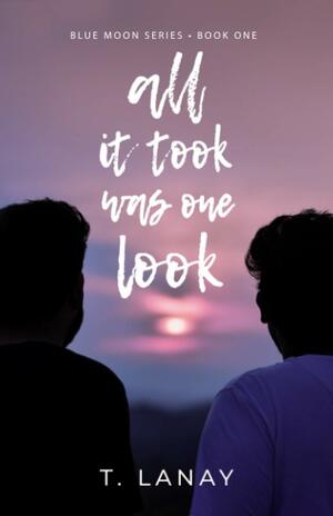 All It Took Was One Look: A Gay Paranormal Romance by T. Lanay