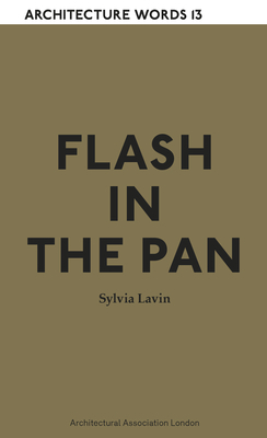 Architecture Words 13: Flash in the pan by Sylvia Lavin
