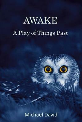 Awake: A Play by Michael David