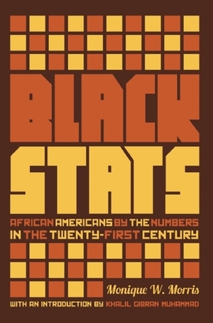Black Stats: African Americans by the Numbers in the Twenty-first Century by Monique W. Morris