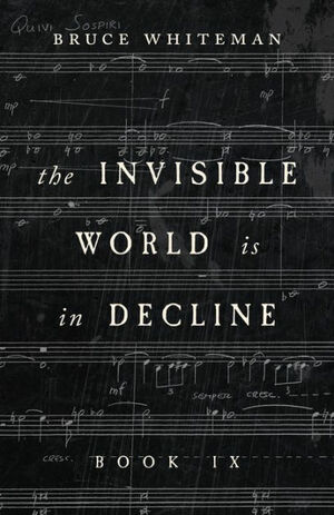 The Invisible World Is in Decline Book IX by Bruce Whiteman