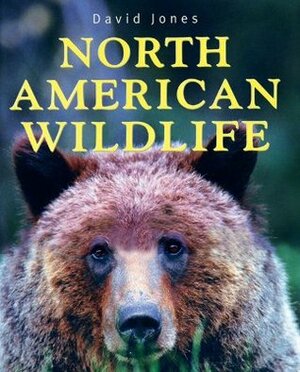 North American Wildlife by David Jones