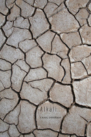 Alkali by Craig Dworkin