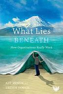 What Lies Beneath: How Organisations Really Work by Ajit Menon