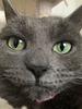 chloe_lloyd_01's profile picture
