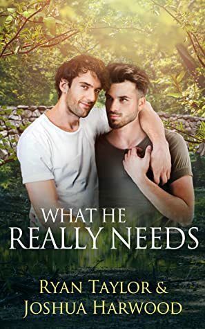 What He Really Needs by Joshua Harwood, Ryan Taylor