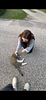 liiinaaa's profile picture
