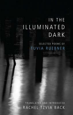 In the Illuminated Dark by Tuvia Ruebner