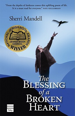 The Blessing of a Broken Heart by Sherri Mandell