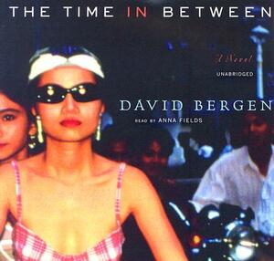 The Time in Between by David Bergen
