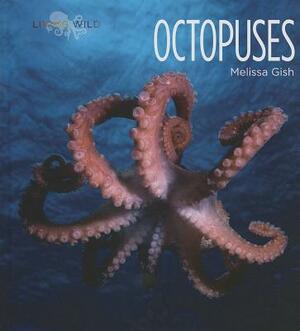 Octopuses by Melissa Gish