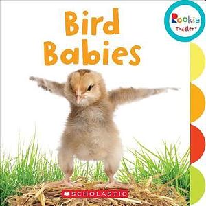 Bird Babies by Scholastic, Inc