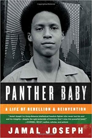 Panther Baby: A Life of Rebellion and Reinvention by Jamal Joseph