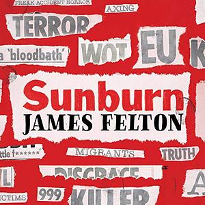 Sunburn: The Unofficial History of the Sun Newspaper in 99 Headlines by James Felton
