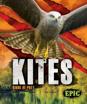 Kites: Birds of Prey by Nathan Sommer