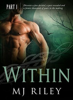 WITHIN (Part One of Three) by M.J. Riley