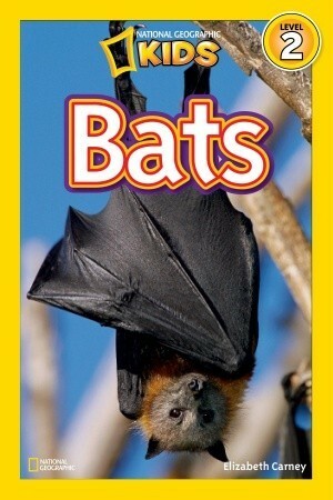 Bats by National Geographic Kids, Elizabeth Carney