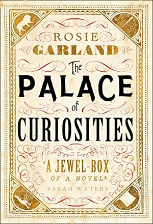 The Palace of Curiosities by Rosie Garland