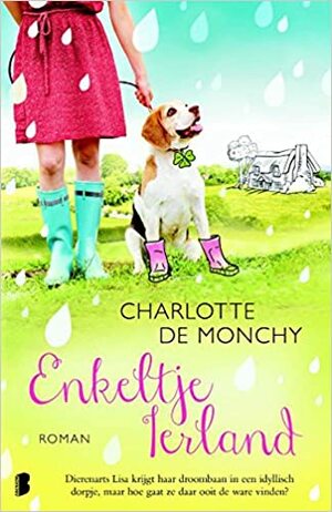 Enkeltje Ierland by Charlotte de Monchy