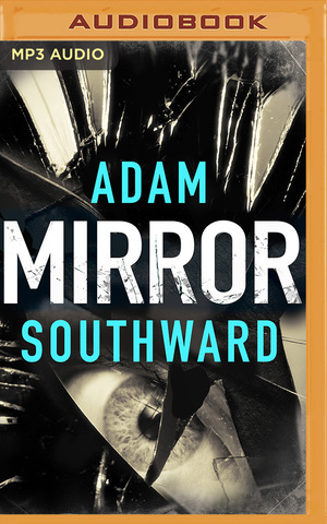 Mirror by Adam Southward