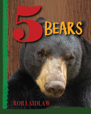 5 Bears by Rob Laidlaw