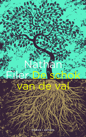 De schok van de val by Nathan Filer