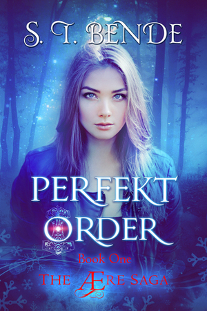 Perfekt Order by S.T. Bende