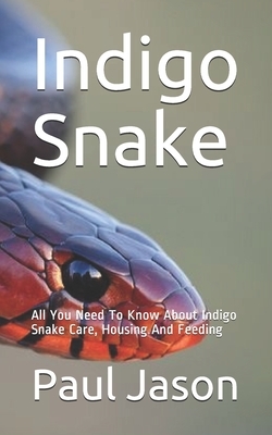 Indigo Snake: All You Need To Know About Indigo Snake Care, Housing And Feeding by Paul Jason