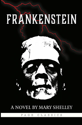 Frankenstein: A Novel By Mary Shelley by Mary Shelley