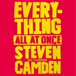 Everything All at Once by Steven Camden