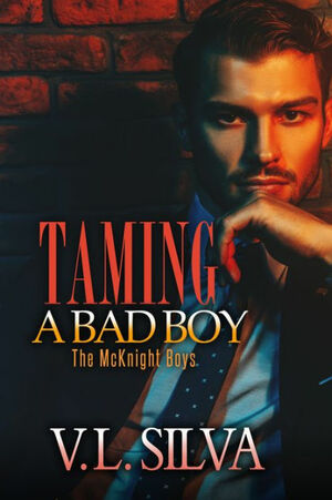 Taming a Bad Boy by V.L. Silva