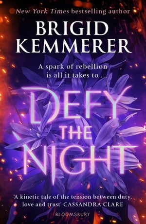 Defy the Night by Brigid Kemmerer