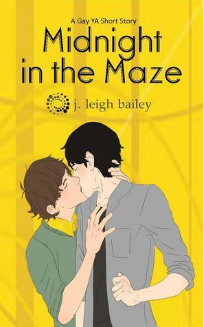 Midnight in the Maze by J. Leigh Bailey