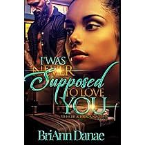 I Was Never Supposed To Love You: Meechi & Erica's Story by BriAnn Danae