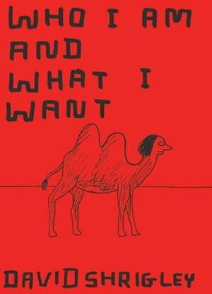 Who I Am and What I Want by David Shrigley