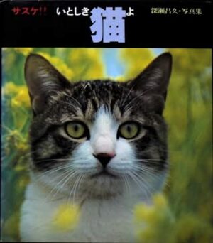 Sasuke, My Dear Cat by Masahisa Fukase