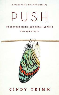 Push by Cindy Trimm